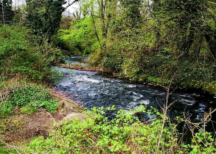 Am Schloss Rimburg 度假居 *